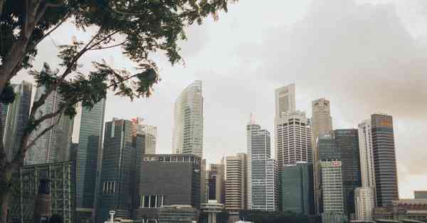 大数据判断数据变化趋势（大数据判断数据变化趋势分析）