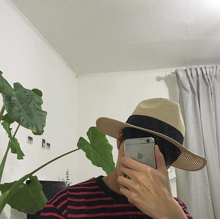 倪枫星春