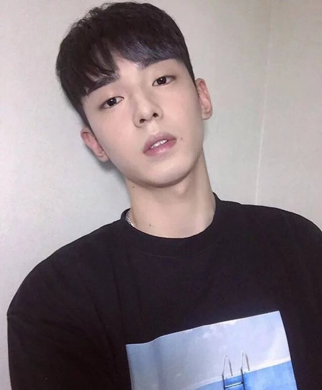 幸舒枝豪