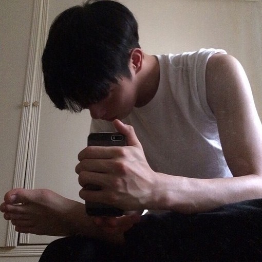 司马杰蝶世