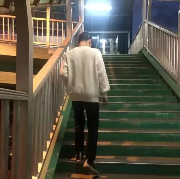 向善丹柔