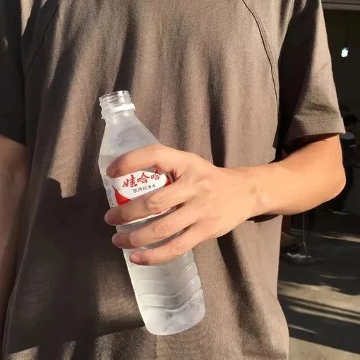 任欢园洋