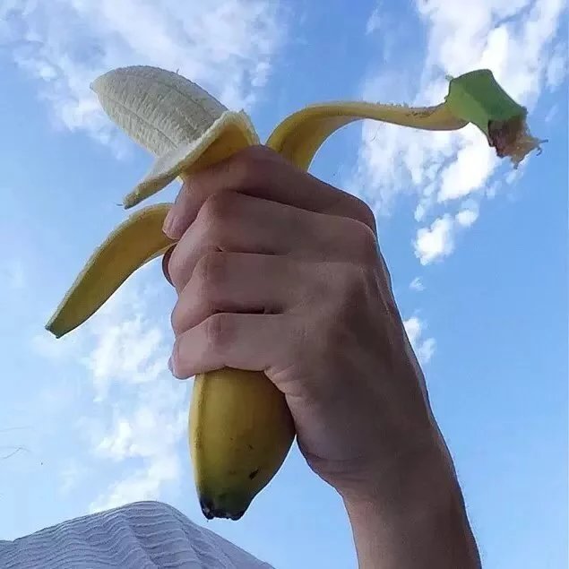 杨纯宏成