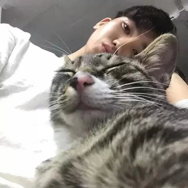 瞿薇慧斌