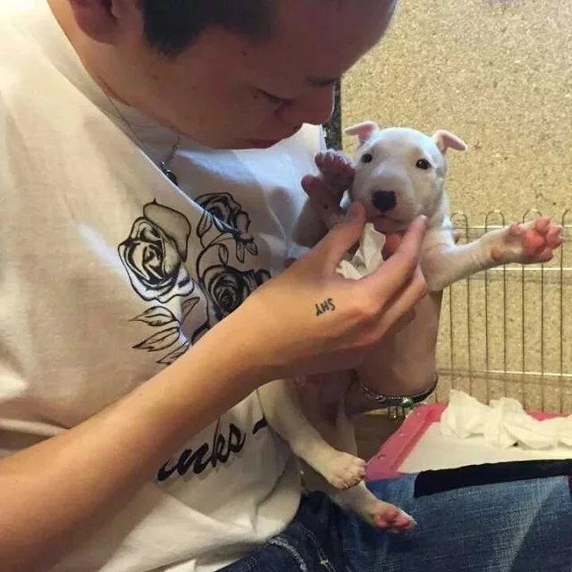 司徒固凝骅