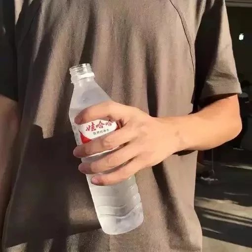 宁黛淑慧